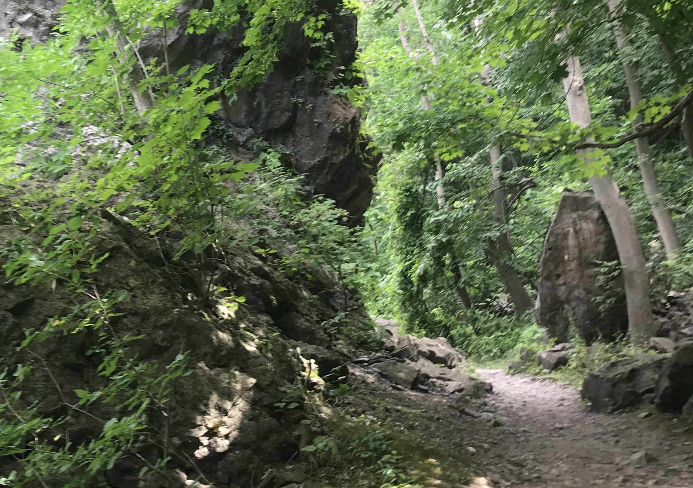 Gorge Trails