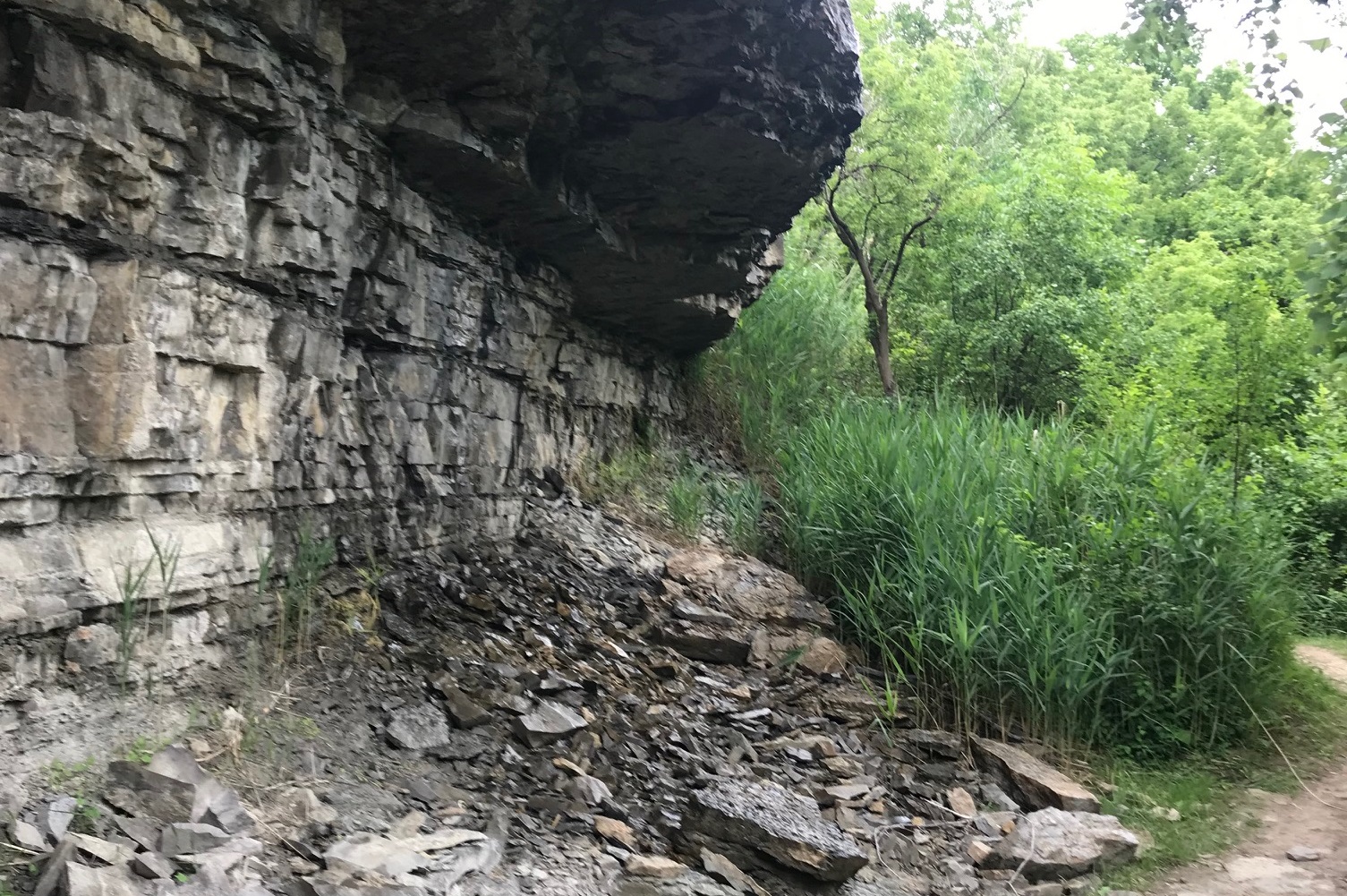 Artpark Gorge Trail